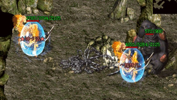 �ػ�����������