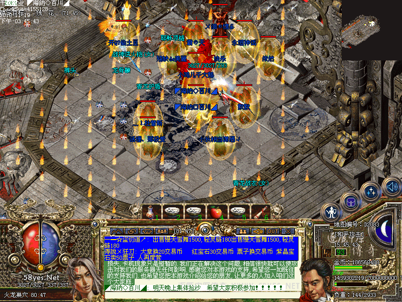 11�����־�ӥ�Ի�